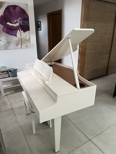 Piano queue blanc - piano,