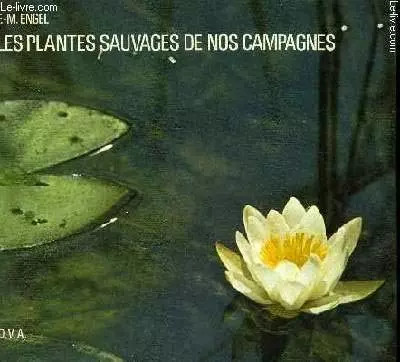 Les plantes sauvages nos - les,