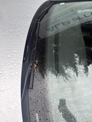 Baie pare brise - de, volkswagen