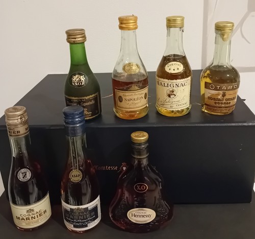 Mignonettes cognac - 7,