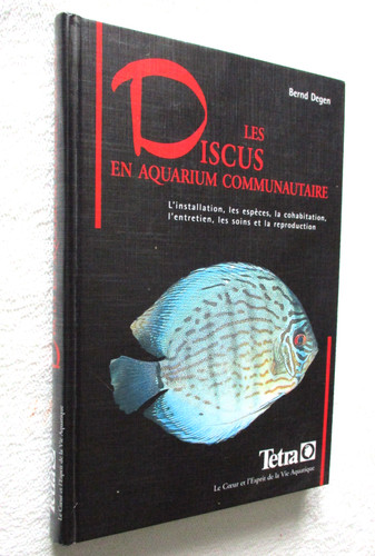 Les discus aquarium - discus, en