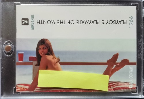 1995 playboy centerfold - 1995,