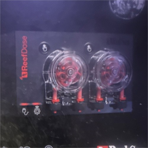 Red sea reefdose - 2, marine
