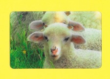 Carte Cora / Match - N°17/44