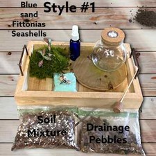 3"Terrarium kit-LED Terrarium kit gift set, DIY Terrarium Kit, Gift Ideas