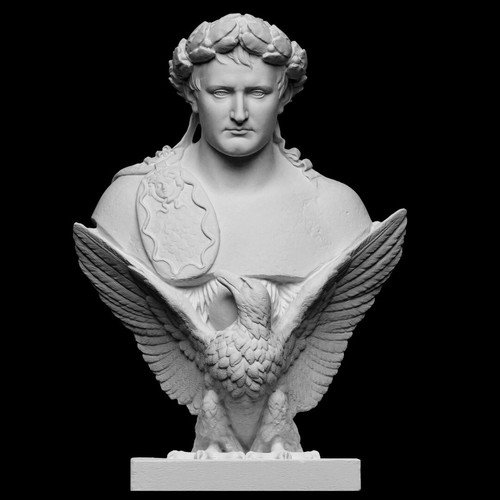 Buste napoléon pla - napoléon, en