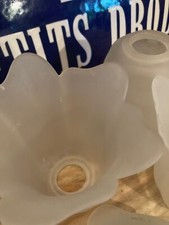 Tulipe en verre dépoli blanc