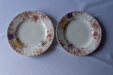 Lot de 2 assiettes anciennes