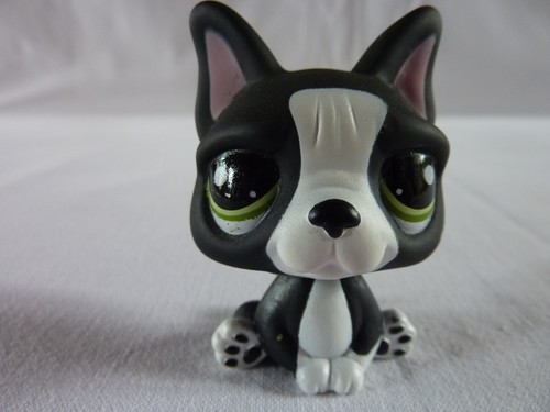 Petshop lps littlest - petshop,