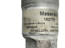 814904556718 amortisseur avant