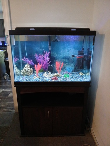 Gallon fish aquarium - 65,