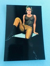 CARTE POSTALE 15X10 ASLAN PIN UP LUI 