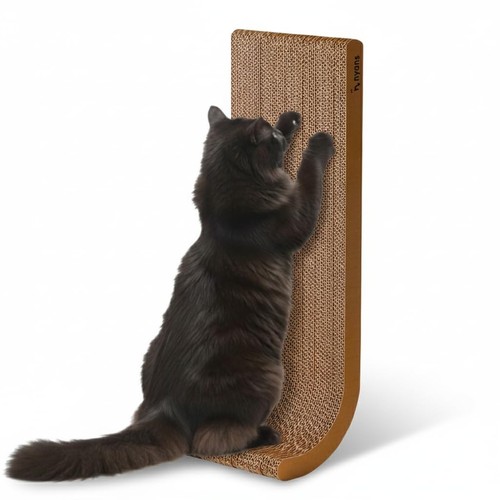 Grattoir pour chat nyans - pour,