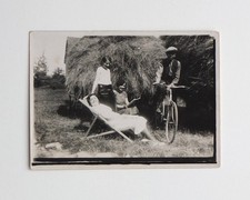 Dimanche repos campagne foin