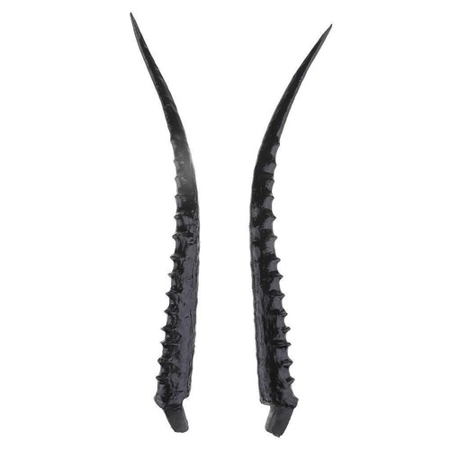 Artificial antelope horn - antelope,