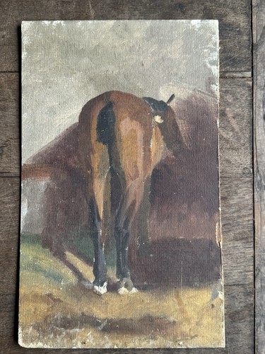 Horse study late 19th - study,