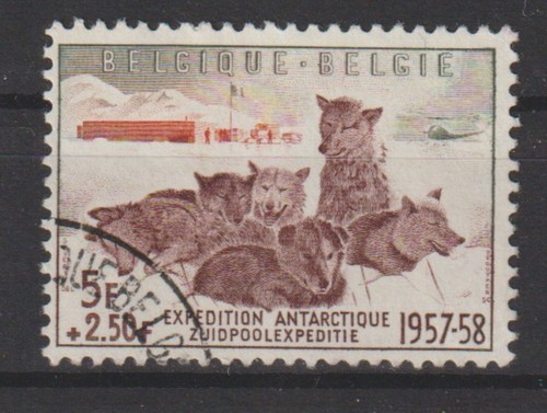 Belgium 1957 cob 1030 - belgium,