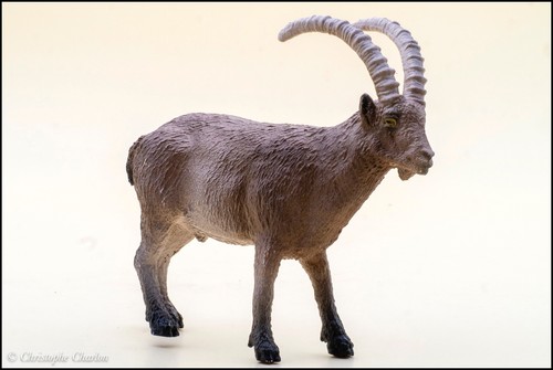 Schleich 14873 bouquetin - schleich,