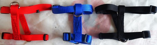 Harnais avec sangle - , ventrale