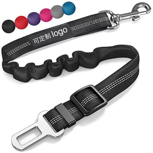 Kit harnais chien voiture - harnais,