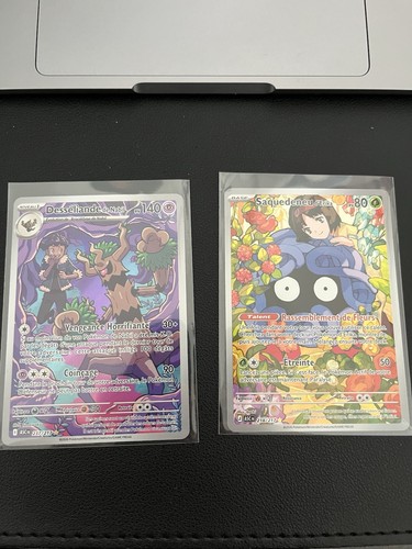 Lot cartes pokémon - lot, héros