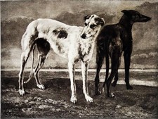 LÉVRIERS RUSSES (par Courbet)