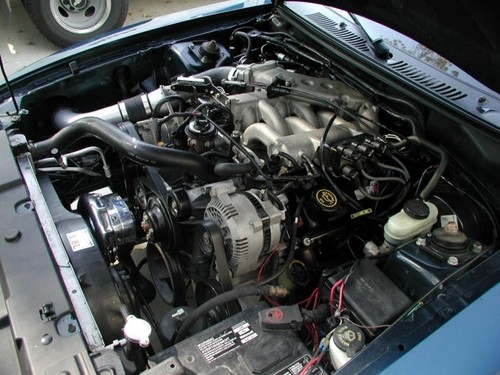 Ford mustang 8l - mustang, v6