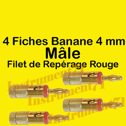 Fiches banane mâle qualité - 4,