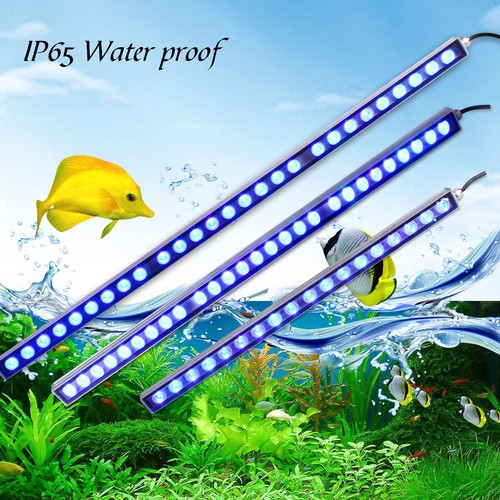470nm led aquarium - aquarium, bar