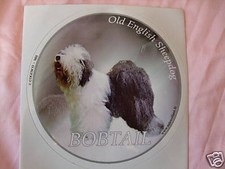 1 autocollant - motif chien