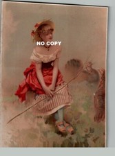 Chromo Large Format - TURKEY GUARDIAN