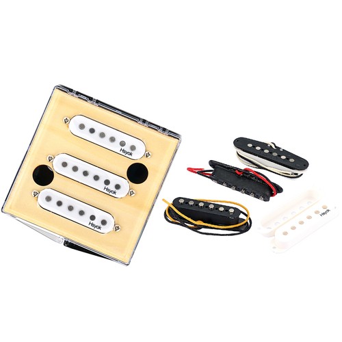 Pour stratocaster guitare - pour,