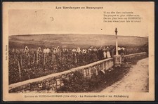 Old postcard Nuits-Saint-Georges, La Romanée-Conti et les Richebourg 1923 