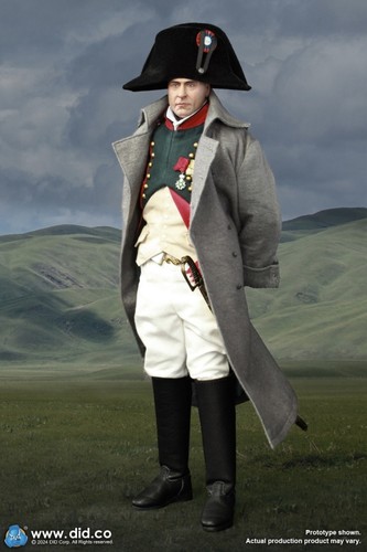 Did corp e60079 napoleon - did,