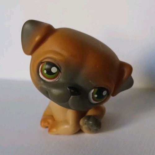 Hasbro little pet - little,