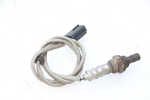 Sonde lambda can am - -, can-am