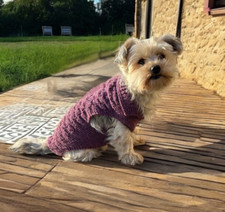 Pull Chien Pour Petit Chien, Chiot Dos 25cm /  25 x 30 cm  Choix de Couleur