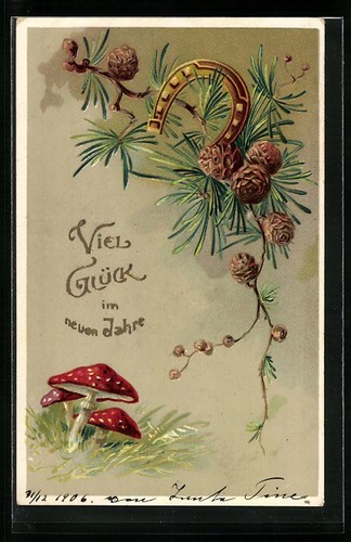Champignons mouches branche - champignons,