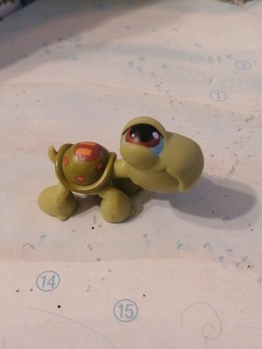 Petshop tortue 12 - petshop-,