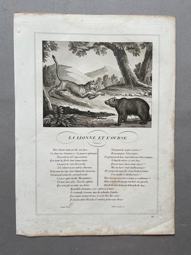 Lionne ourse fables - et,