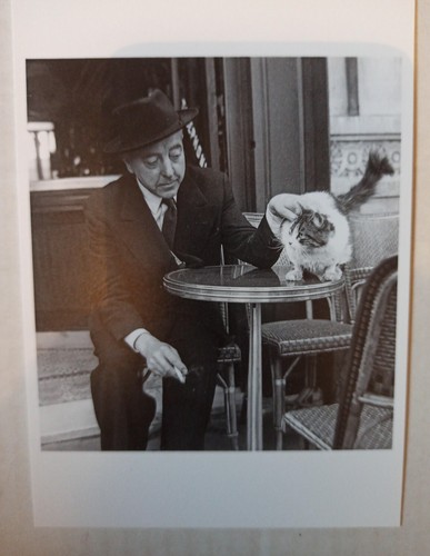Carte postale izis - carte,