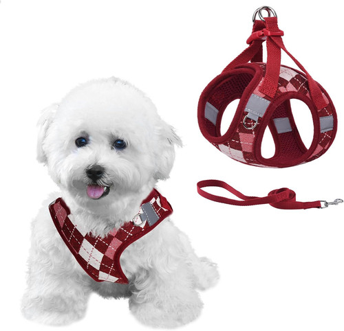 Harnais chien anti fuite - harnais, anti-fuite