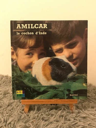 Cochon inde amilcar - cochon, d'inde