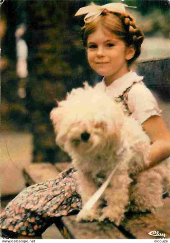 Carte postale animaux - postale,