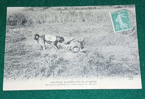 Cpa grandes manoeuvres - cpa,
