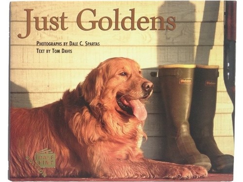 Livre photo golden retriever - photo,