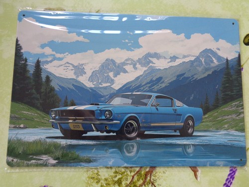 Plaque tole metal - tole, ford