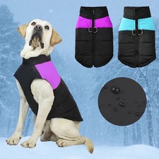 Manteau imperméable hiver chien chat – gilet chaud avec anneau en D