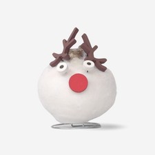 Amaryllis - Hippeastrum