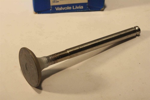 Exhaust valves for fiat - for,